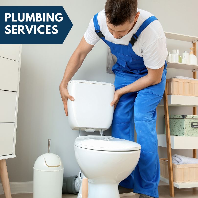 Plumbing Company in Lady Lake, FL